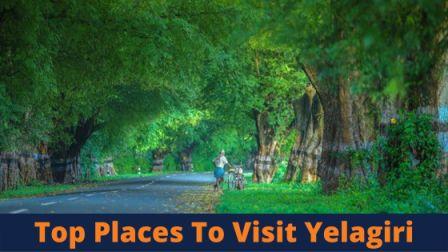 Places To Visit In Yelagiri Hills